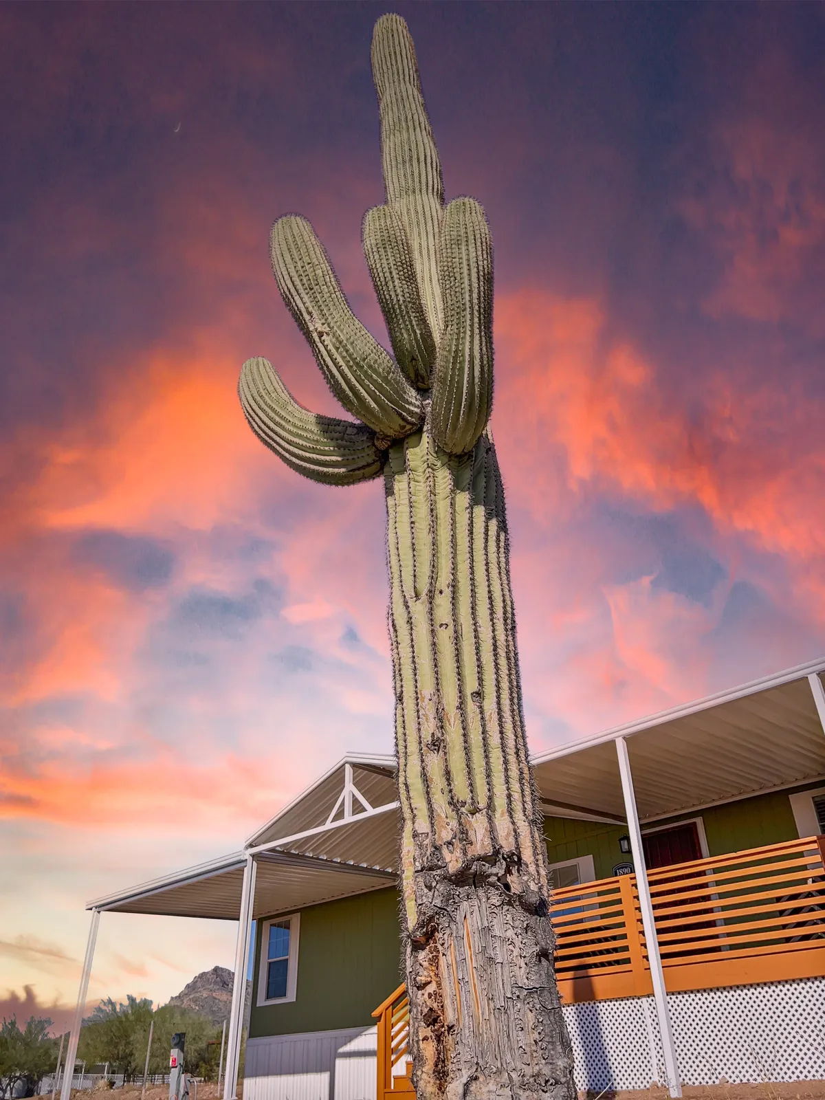 This image captures a tall saguaro cactus set against a stunning sunset sky, with the modern house structure visible in the background. The scene conveys the iconic Sonoran Desert landscape, featuring rugged beauty and open space ideal for exploration.